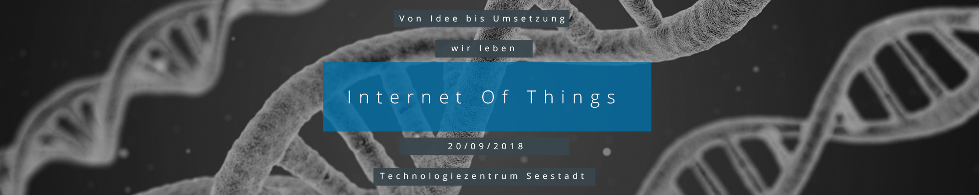 Read more about the article IoT hautnah